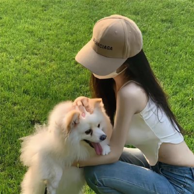 企鹅之岛：福克兰